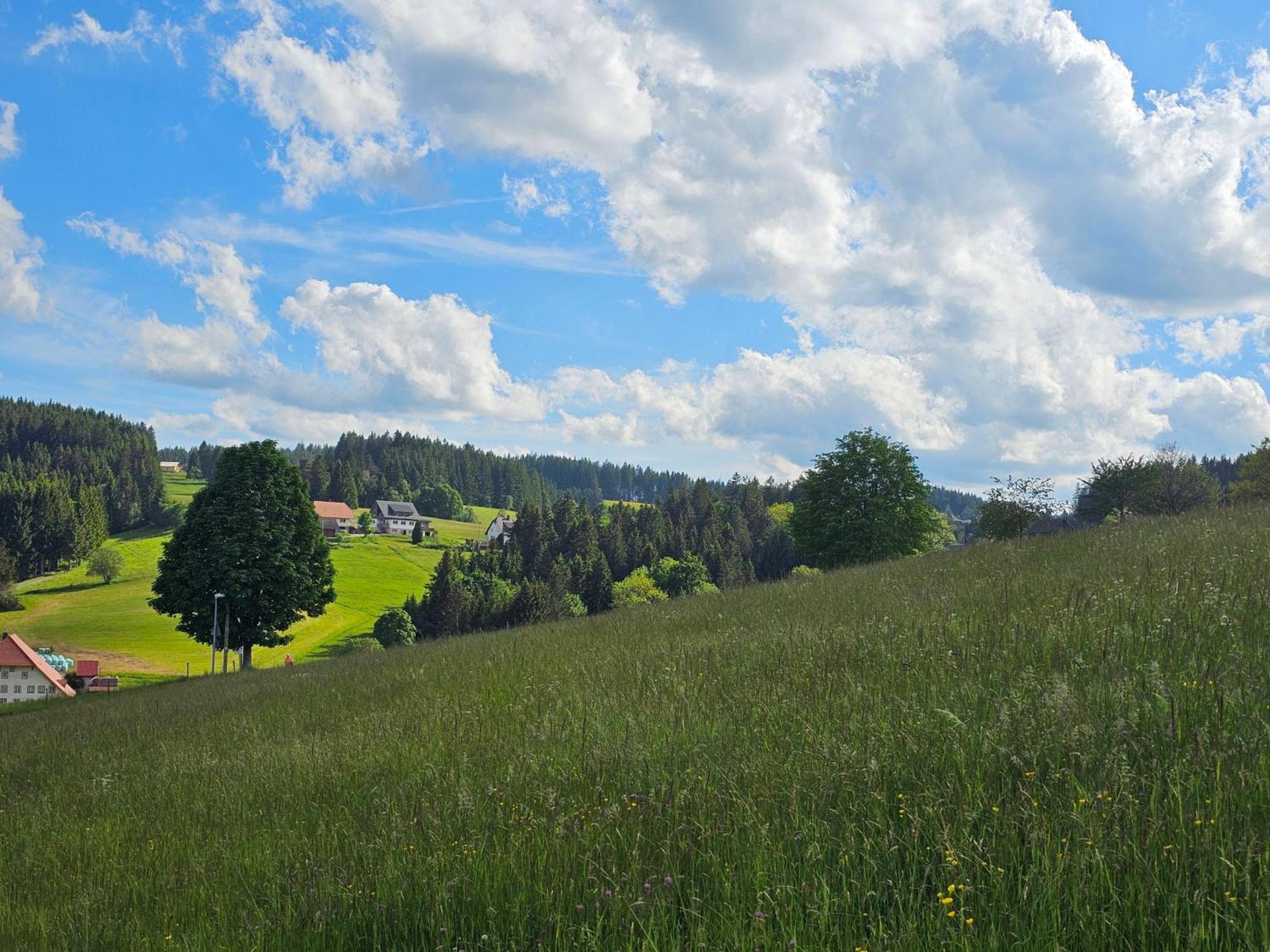 Miuti Residence Triberg im Schwarzwald Exterior photo